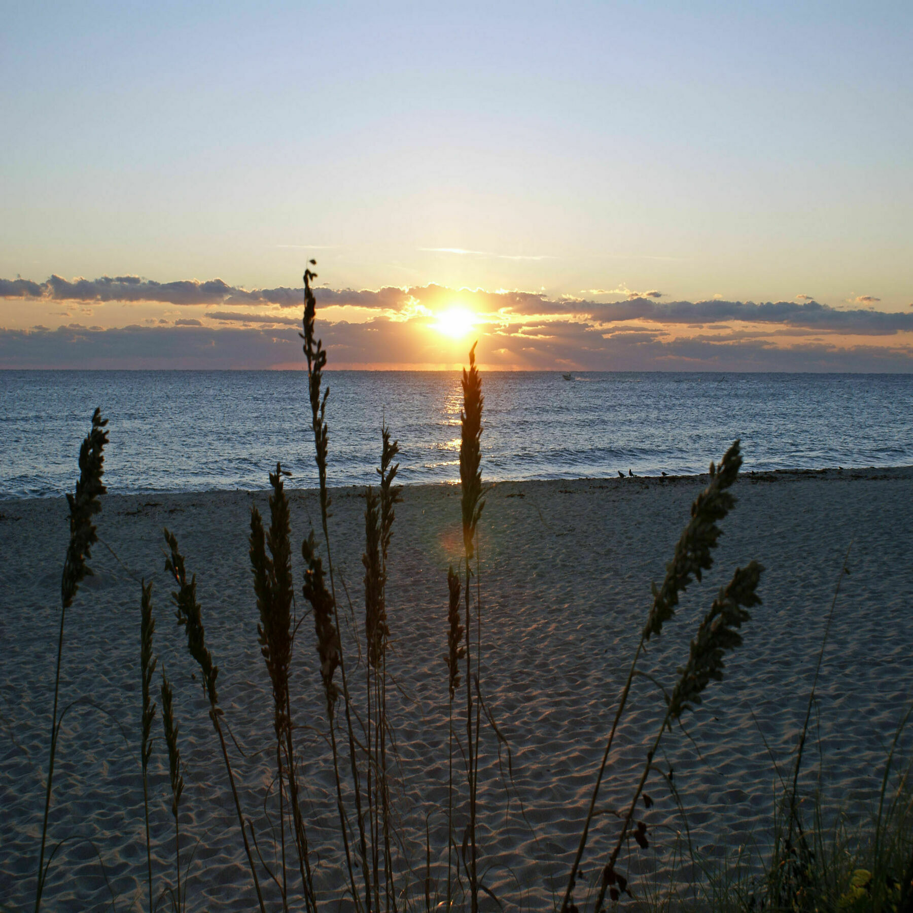 Sabal Palm House Bed And Breakfast Lake Worth Beach Exteriör bild